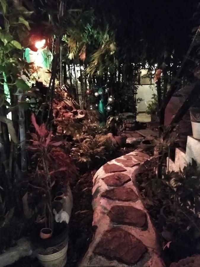 Mi Aldea Holistica Hotel เม็กซิโกซิตี้ ภายนอก รูปภาพ
